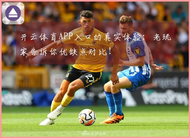 开云体育APP入口的真实体验：老玩家告诉你优缺点对比！