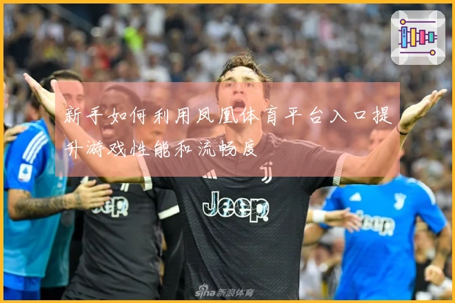 新手如何利用凤凰体育平台入口提升游戏性能和流畅度
